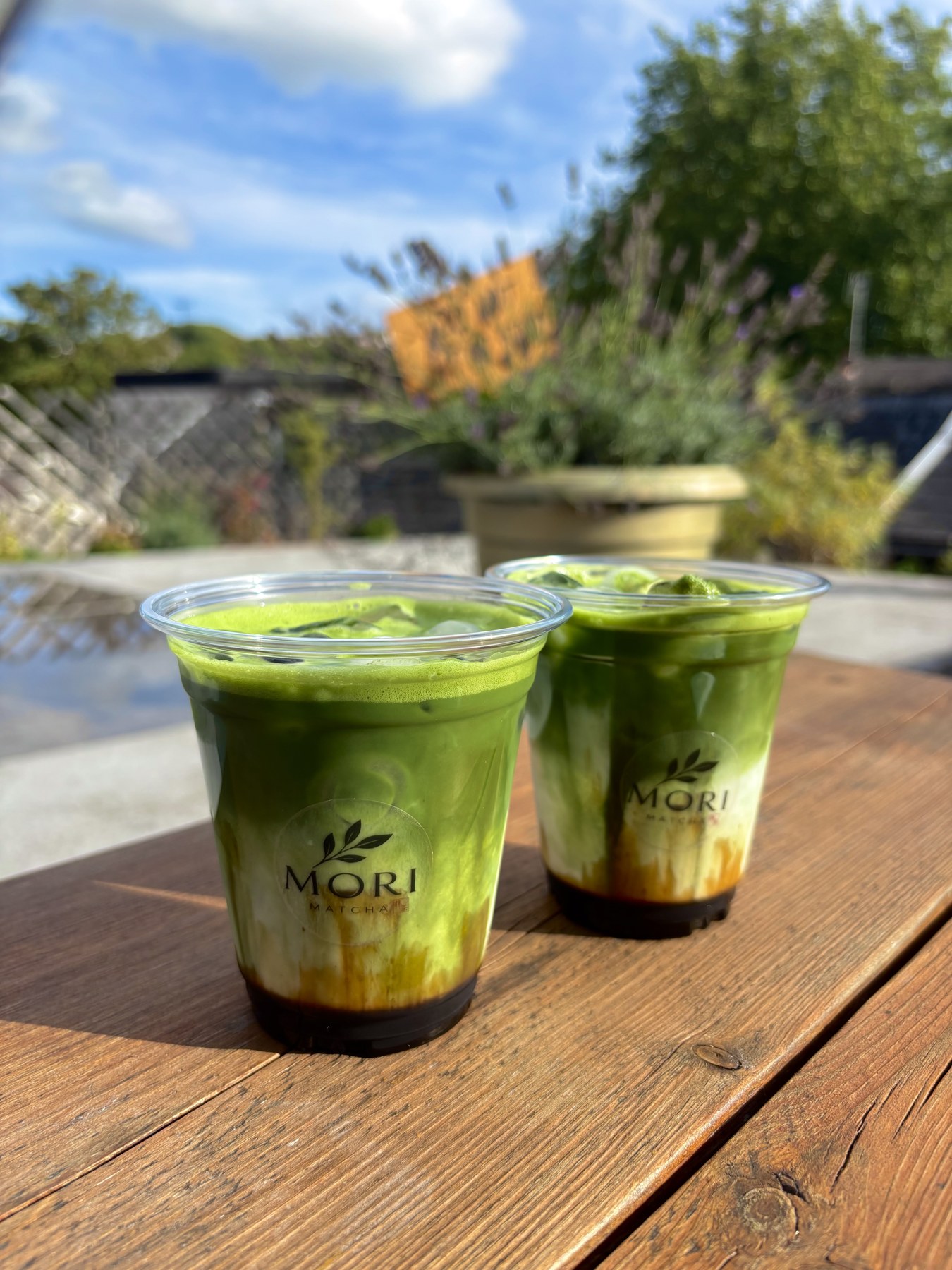 Mori Matcha